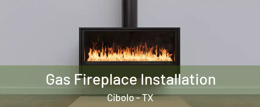  Gas Fireplace Installation Cibolo - TX