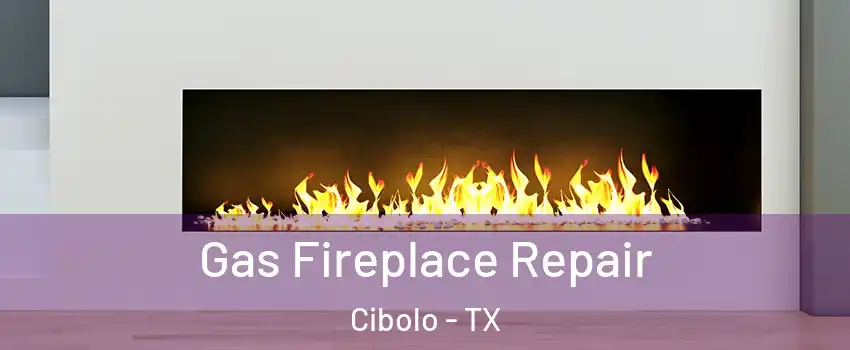  Gas Fireplace Repair Cibolo - TX