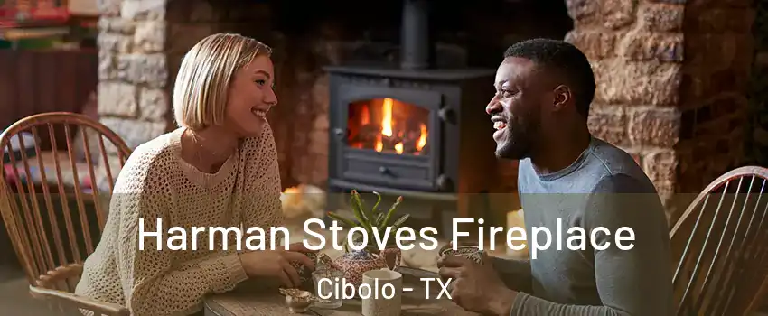  Harman Stoves Fireplace Cibolo - TX