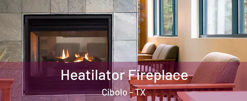  Heatilator Fireplace Cibolo - TX