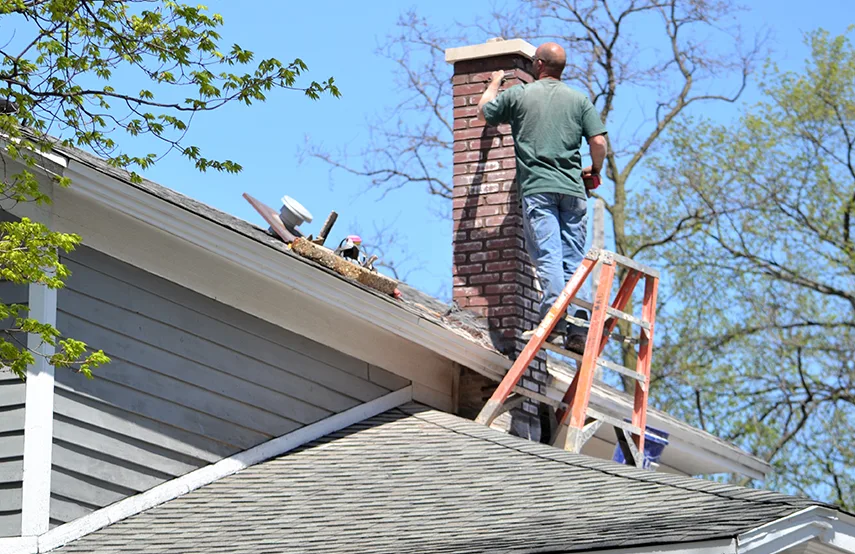 Chimney & Fireplace Inspections Services in Cibolo, TX