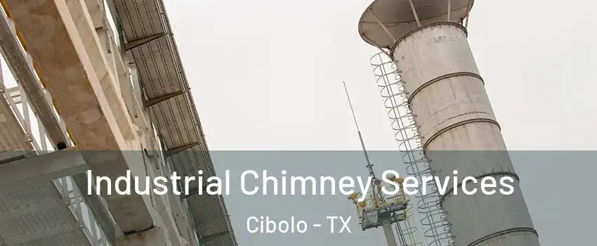  Industrial Chimney Services Cibolo - TX