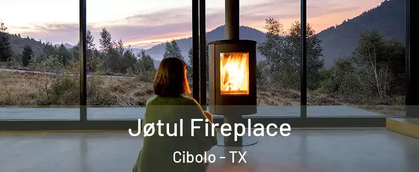  Jøtul Fireplace Cibolo - TX