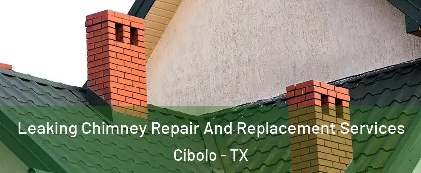  Leaking Chimney Repair And Replacement Services Cibolo - TX
