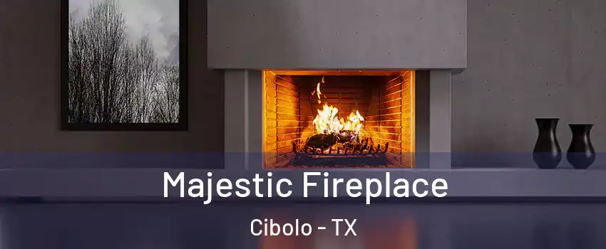  Majestic Fireplace Cibolo - TX