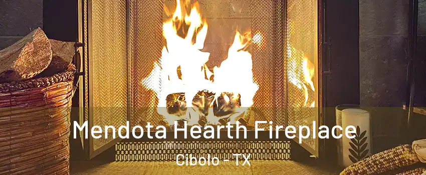  Mendota Hearth Fireplace Cibolo - TX