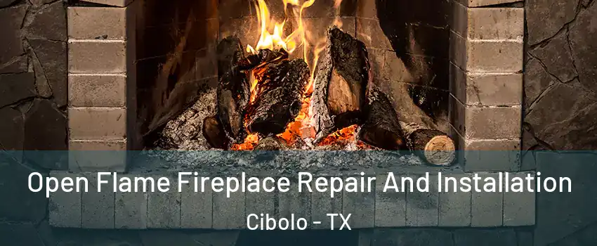  Open Flame Fireplace Repair And Installation Cibolo - TX