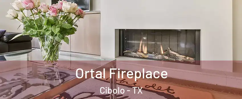  Ortal Fireplace Cibolo - TX