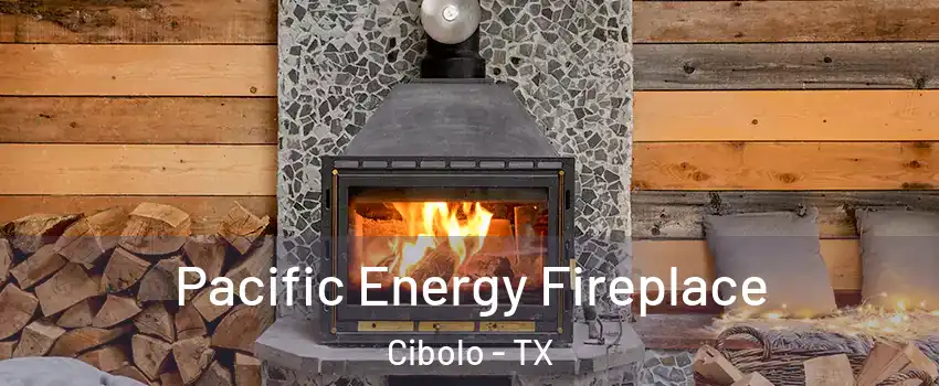  Pacific Energy Fireplace Cibolo - TX