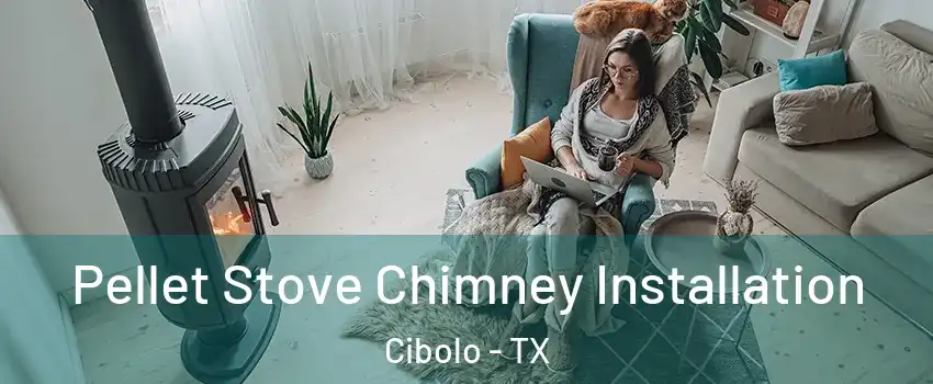  Pellet Stove Chimney Installation Cibolo - TX