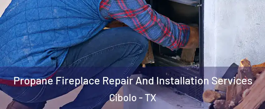  Propane Fireplace Repair And Installation Services Cibolo - TX