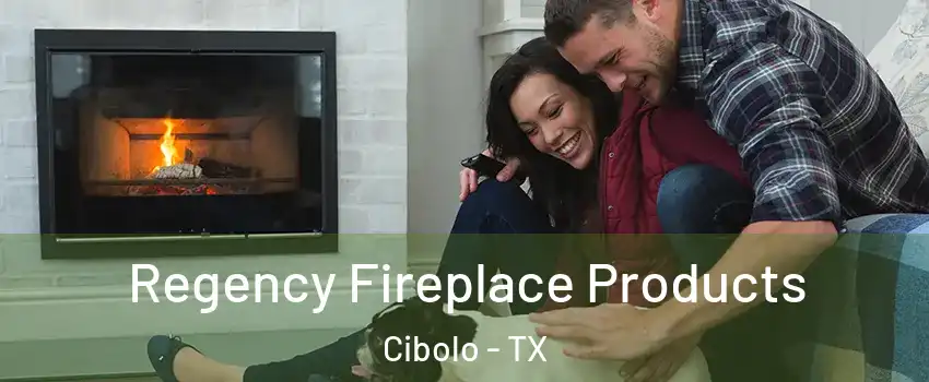  Regency Fireplace Products Cibolo - TX