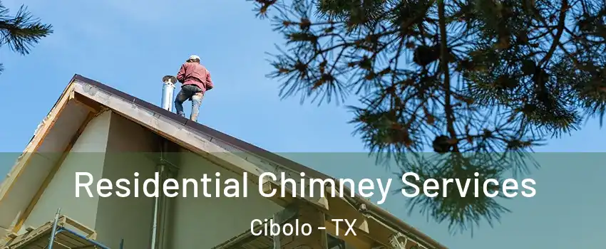  Residential Chimney Services Cibolo - TX