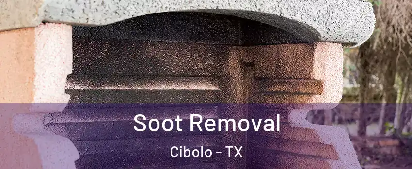  Soot Removal Cibolo - TX