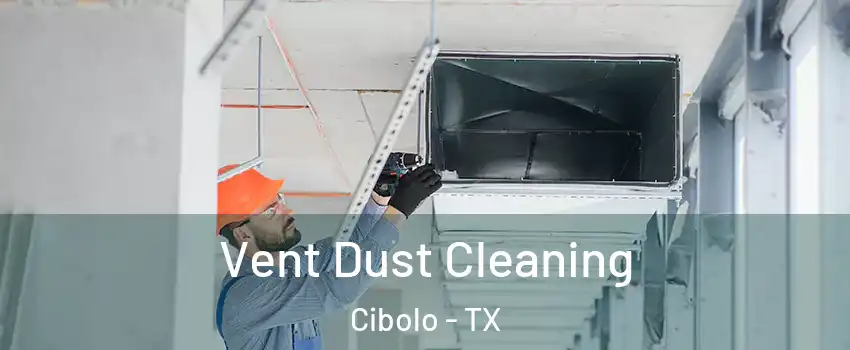  Vent Dust Cleaning Cibolo - TX