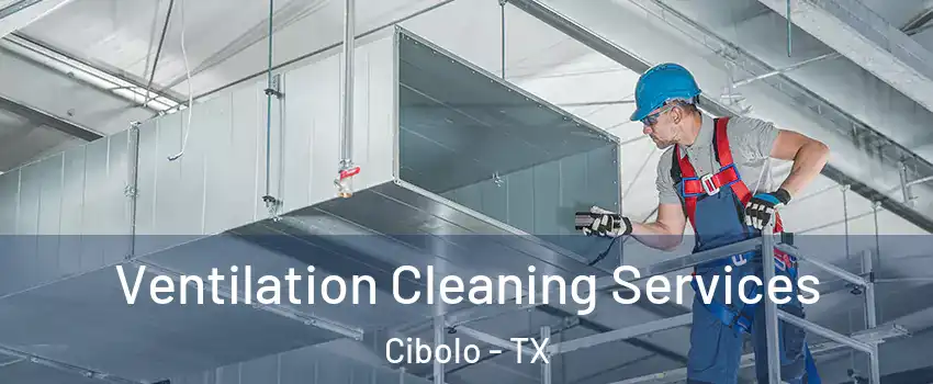  Ventilation Cleaning Services Cibolo - TX