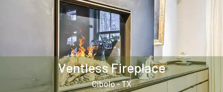  Ventless Fireplace Cibolo - TX