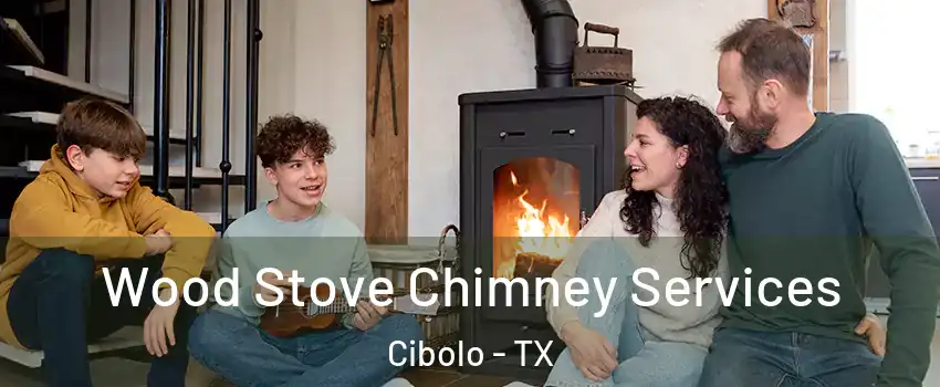  Wood Stove Chimney Services Cibolo - TX