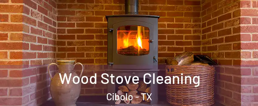  Wood Stove Cleaning Cibolo - TX